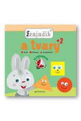 Malý zajačik a tvary