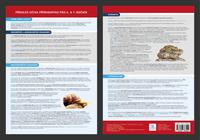 Přehledová tabulka učiva Přírodopis - přehled učiva 6. - 7. ročník