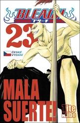 Bleach 23