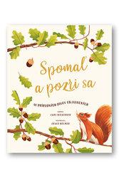 Spomaľ a pozri sa