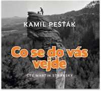 Co se do vás vejde