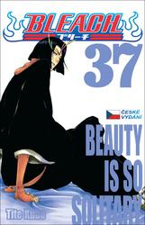 Bleach 37