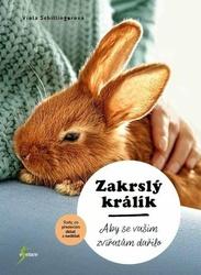Zakrslý králík