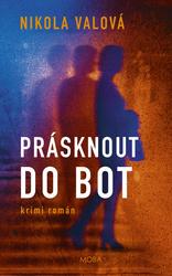 Prásknout do bot