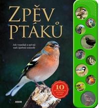 Zpěv ptáků