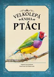 Ptáci