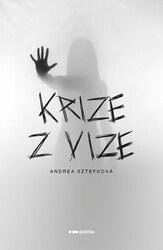 Krize z vize
