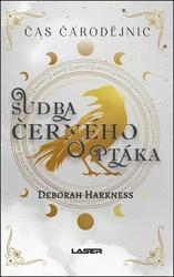 Sudba černého ptáka