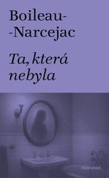 Pracovní sešit předškoláka