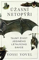 Nerovně sjednoceni