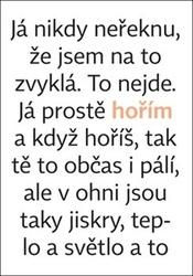 Puzzle Lví král MAXI 60 dílků