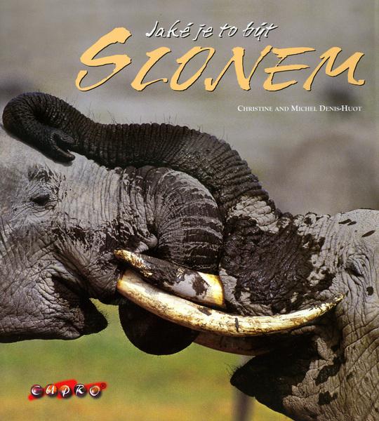 Jaké je to být slonem - 80-86323-55-2