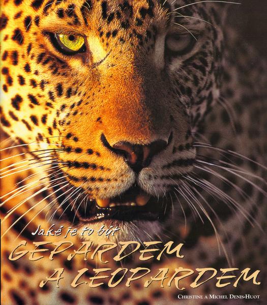 Jaké je to být gepardem a leopardem - 80-86323-57-9