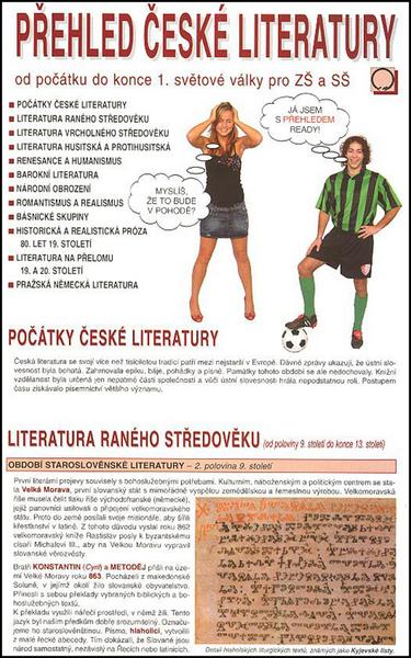 Přehled české literatury - 978-80-7182-259-2