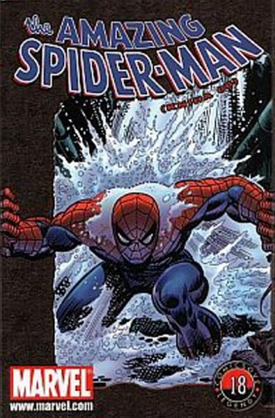 Amazing Spider-Man - 978-80-87044-28-5