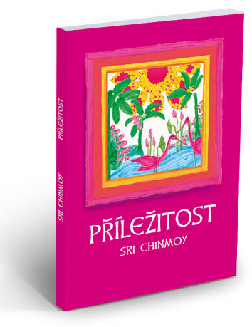 Příležitost - 978-80-86581-23-1