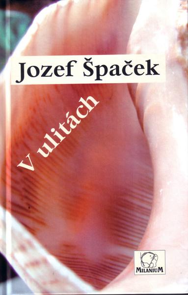 V ulitách - 978-80-89178-26-1