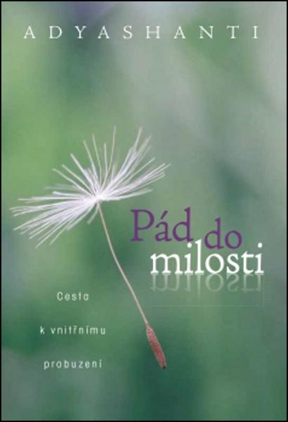 Pád do milosti - 978-80-7370-278-6