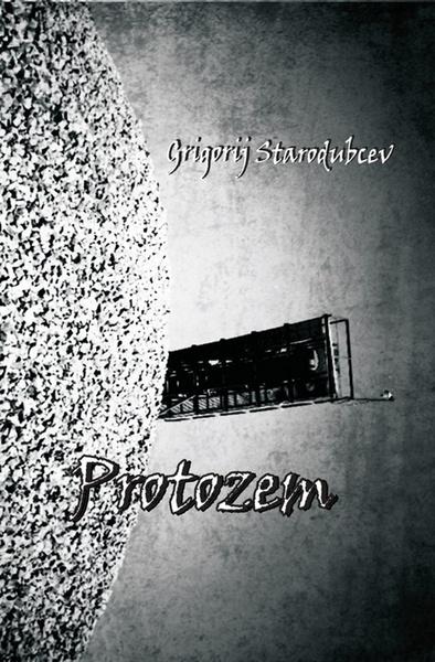 Protozem - 978-80-89435-15-9