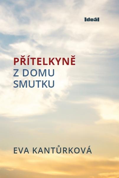 Přítelkyně z domu smutku - 978-80-86995-31-1