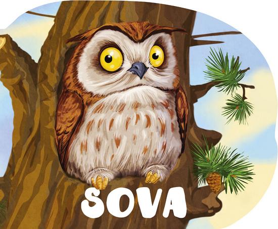 Sova - 978-80-8154-227-5