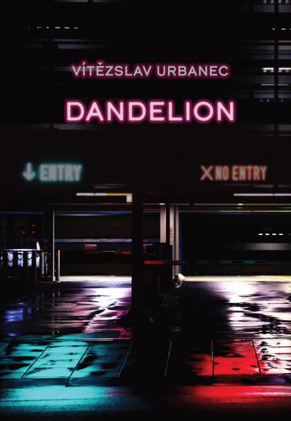 Dandelion - 978-80-7225-459-0