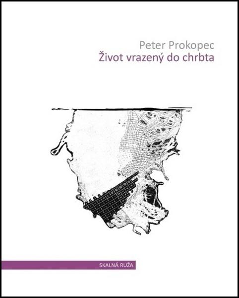 Život vrazený do chrbta - 978-80-89816-16-3