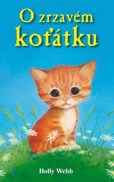 O zrzavém koťátku - Holly Webb