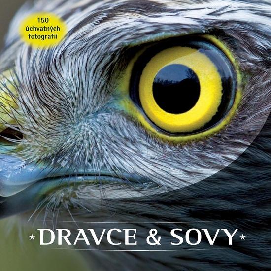 Dravce a sovy - 978-80-255-1117-6