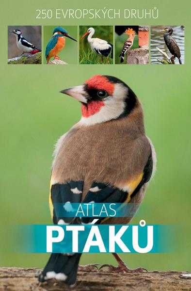 Atlas ptáků - 978-80-88213-71-0