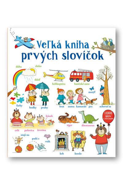 Veľká kniha prvých slovíčok - Kolektív autorov - 978-80-567-0411-0