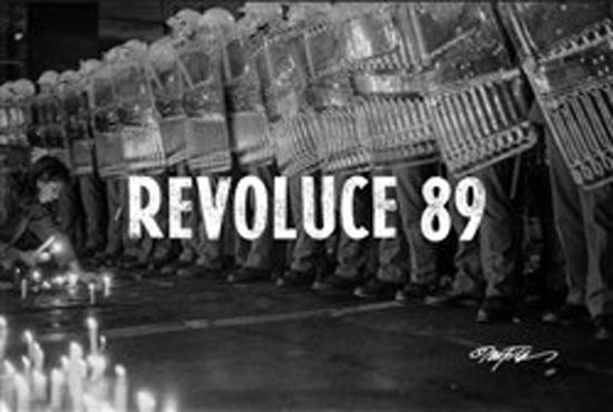 Revoluce 89 - 978-80-270-6595-0