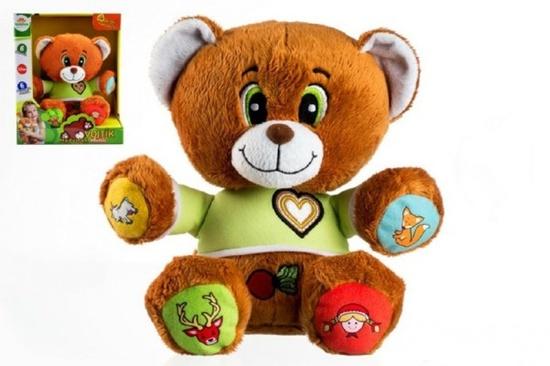 Teddies Mluvící medvídek Vojtík - et00514002