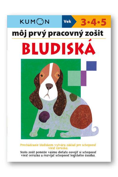 Môj prvý pracovný zošit Bludiská - 978-80-567-0523-0
