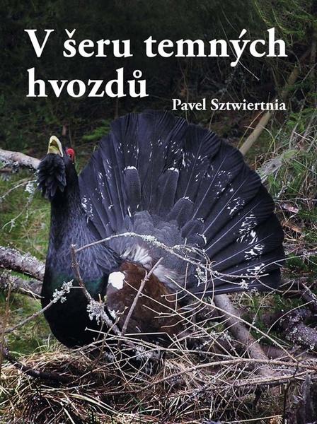V šeru temných hvozdů - 978-80-7497-315-4
