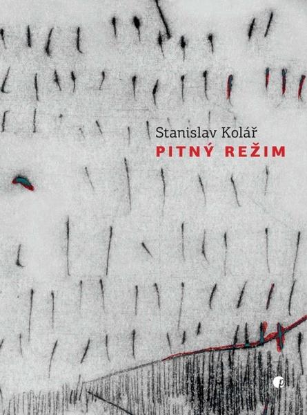 Pitný režim - 978-80-87485-76-7