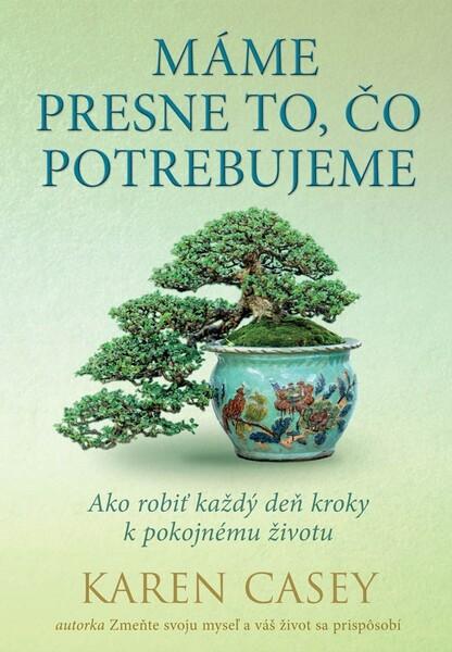Máme presne to, čo potrebujeme - 978-80-8109-400-2
