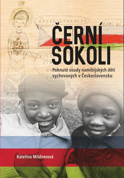 Černí sokoli - 978-80-7422-744-8