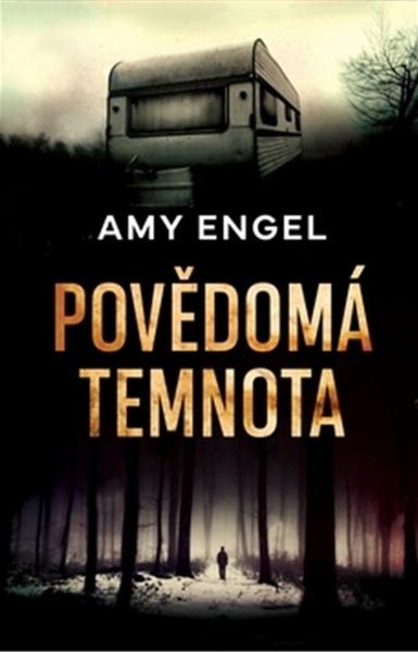 Povědomá temnota - 978-80-7593-193-1