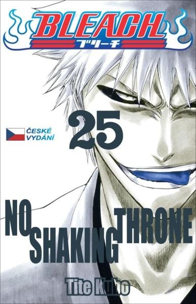 Bleach 25 - 978-80-7449-980-7