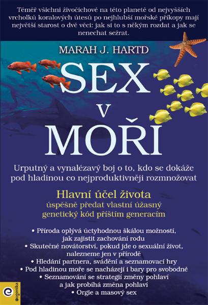 Sex v moři - 978-80-8100-676-0