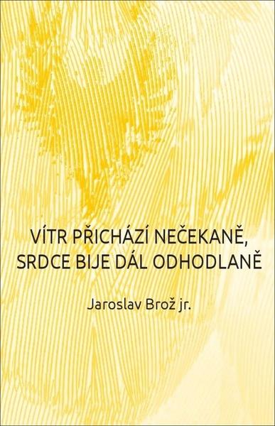 Vítr přichází nečekaně, srdce bije dál odhodlaně - 978-80-278-0014-8