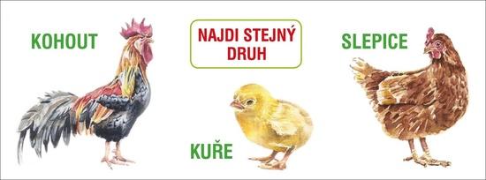 Najdi stejný druh - 978-80-7497-369-7