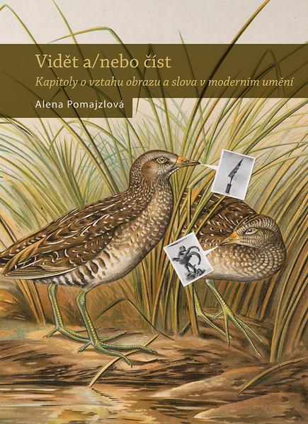 Vidět a/ nebo číst - 978-80-7422-690-8