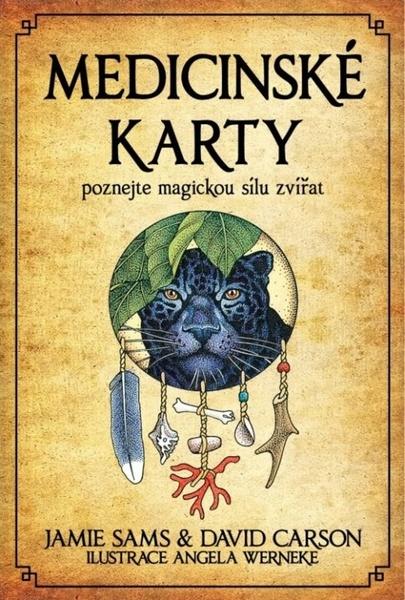 Medicinské karty - 978-80-7370-570-1