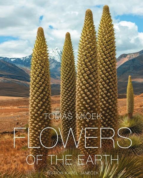 Flowers of the Earth - 978-80-276-0291-9