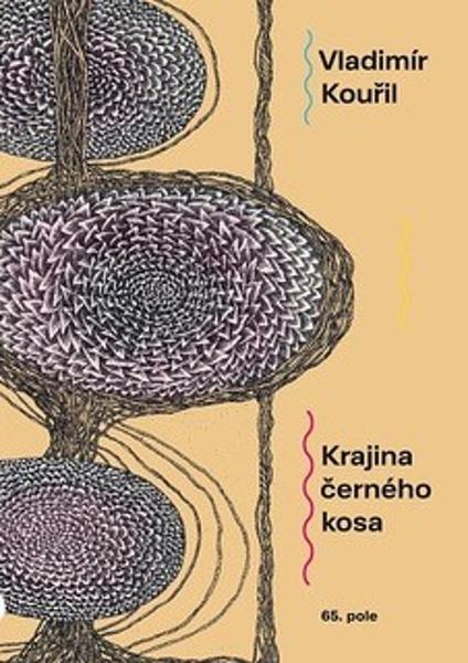 Krajina černého kosa - 9788088268543
