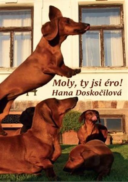 Moly, ty si éro! - 9788090762664
