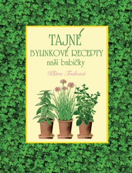 Tajné bylinkové recepty naší babičky - 9788087678992
