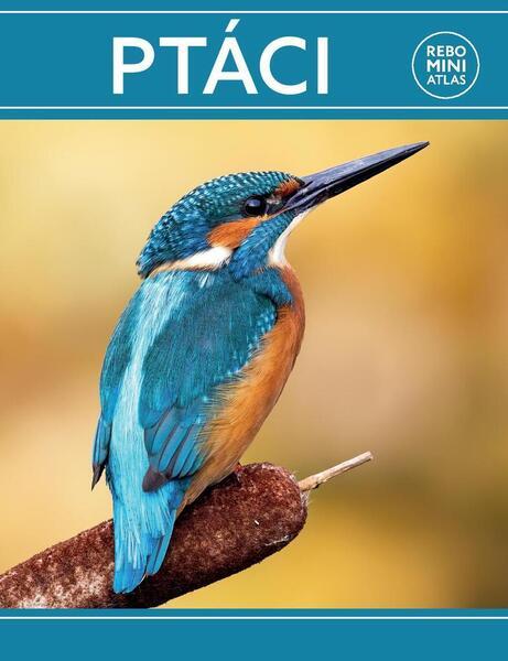 Ptáci miniatlas - 9788025513286